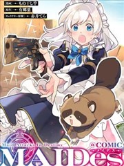 风之翼